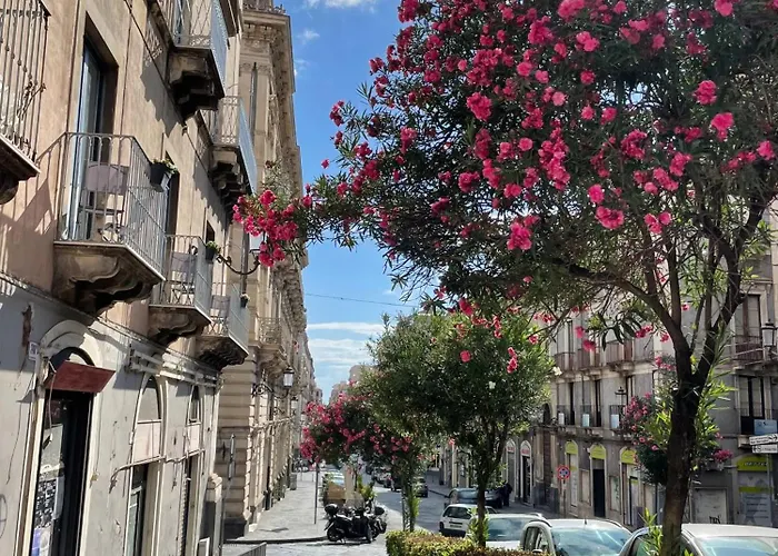 לינה וארוחת בוקר Opera Boutique